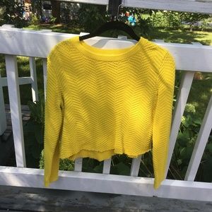 Yellow Cropped Sweater